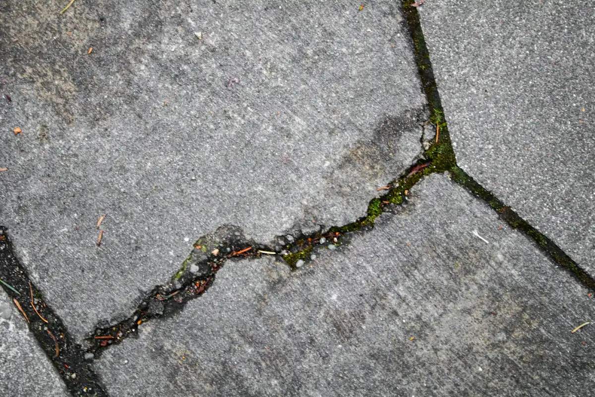 Cracked concrete slabs with moss growing along the joint